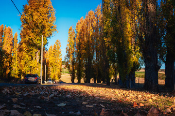 This place is absolutely beautiful during autumn, when the golden poplar trees are at their peak....