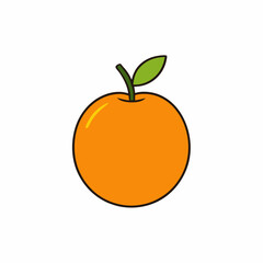 vector illustration of an orange