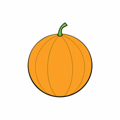 pumpkin isolated on white