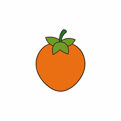 vector illustration of an orange