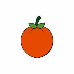 vector illustration of an apple