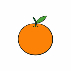 vector illustration of an orange