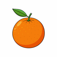 orange fruit vector illustration