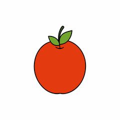 vector illustration of an apple