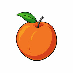 vector illustration of an apple