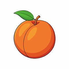 pumpkin isolated on white