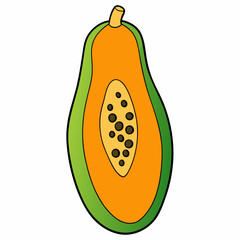 vector illustration of a fruit