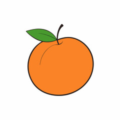vector illustration of an apple