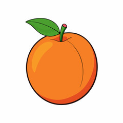 orange isolated on white background