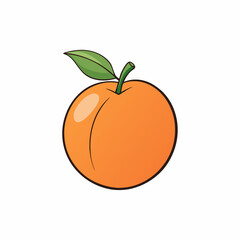 orange fruit isolated on white