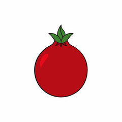 vector illustration of a tomato