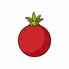 vector illustration of tomato