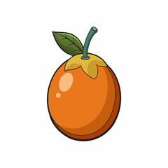 orange fruit isolated on white