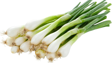Bunch of fresh spring onions isolated on transparent background