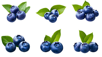 Isolated Blueberries with Green Leaves on a Transparent Background