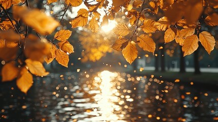 Golden autumn park scene with vibrant sun rays filtering through falling leaves, serene nature landscape featuring golden foliage and open copy space for text overlay.