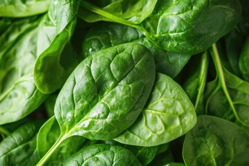 Fototapeta premium Fresh spinach leaves arranged on a clean surface with natural lighting and minimal styling. AI generated illustration.