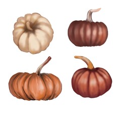 Isolated illustration featuring colorful pumpkins in shades of orange, red, cream, green, and purple on a white background. Perfect for fall decor, Thanksgiving, and seasonal designs.