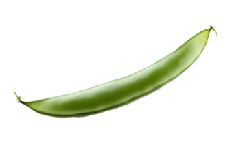 Isolated Green Bean Pod on Transparent Background Photo