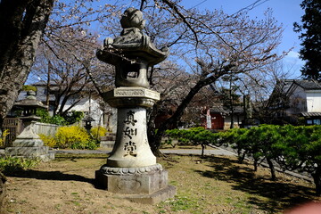 Obraz premium 京都、真如堂、庭園、佛寺、寺院、文化財、木造建築、古代建築、日本文化、歷史名勝、紅葉名所、木