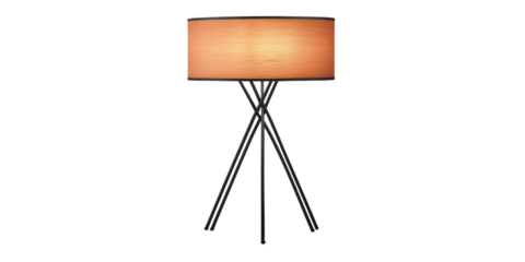 Isolated Illustration of a Wooden Presentation Board on Black Tripod