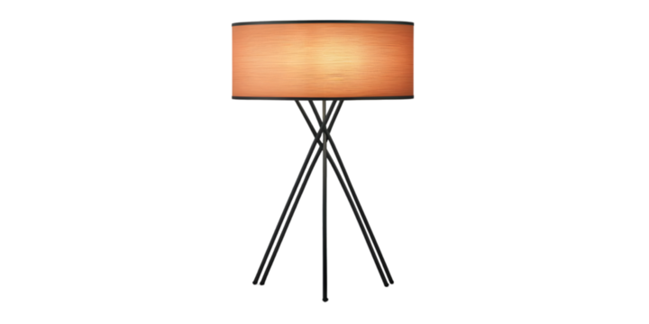 Isolated Illustration of a Wooden Presentation Board on Black Tripod