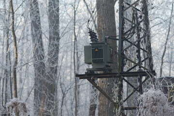 An electrical transformer is installed on a utility pole in winter park, accompanied by power lines, all set against a foggy, atmospheric backdrop. Snow