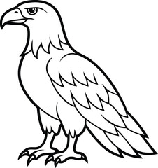 Obraz premium eagle bird silhouette vector design