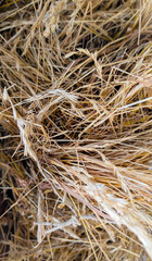 Close-up view of dry straw entangled in a natural chaotic texture, capturing the essence of rustic farmland and harvest remnants