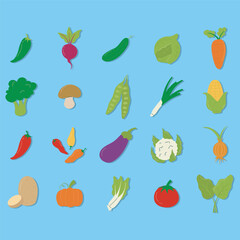 Obraz premium Flat Vegetable Illustration Set