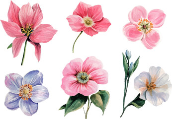 collage of flowers