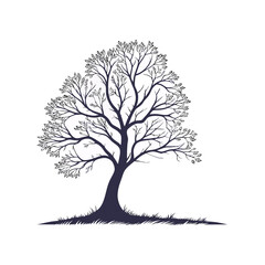 Obraz premium Silhouette Tree with Branch Details