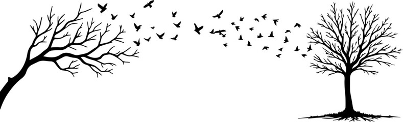 Flying Birds and Bare Trees Silhouette – Nature Transition Scene