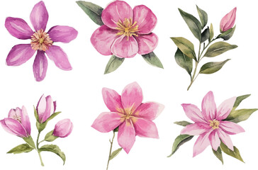 bouquet of pink lilies