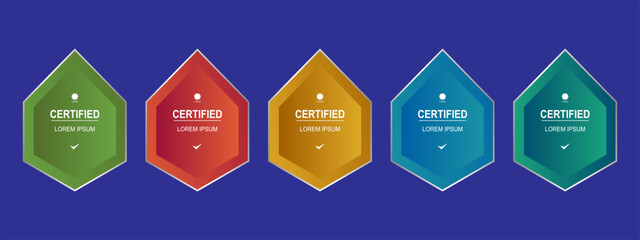 Certificate badge for company template vector illustration