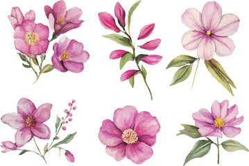 set of pink flowers