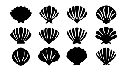 set of sea shell silhouette vector on tranparent background