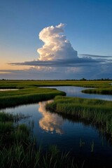 arafed cloud over a marsh with a small body of water