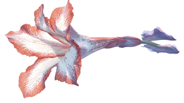Pixelated Flower Isolated On Transparent Background 3d Illustration