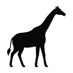giraffe silhouette vector. wild animals on white background.  