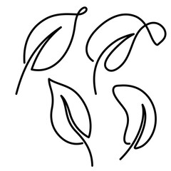 line art vector illustration of a leaf