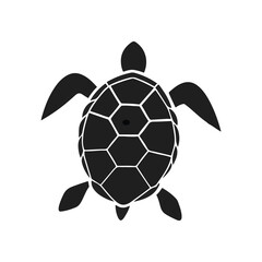 Vector illustration of a turtle. Black and white turtle on white background. 