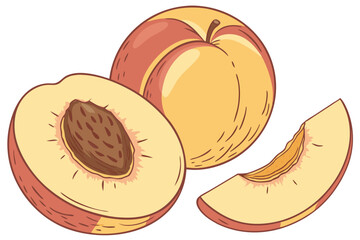 82 Photorealistic peaches, vibrant yellow and red skin, soft fuzzy texture, ripe fruit, natural lighting, closeup detail, white background, botanical illustration style, high resolution, food photogra