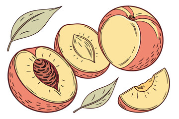 82 Photorealistic peaches, vibrant yellow and red skin, soft fuzzy texture, ripe fruit, natural lighting, closeup detail, white background, botanical illustration style, high resolution, food photogra