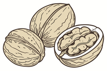 84 Realistic walnuts, macro photography, detailed textures, cracked open walnut shells, walnut kernels, beige and brown tones, isolated on white background, high contrast, studio lighting, food photog