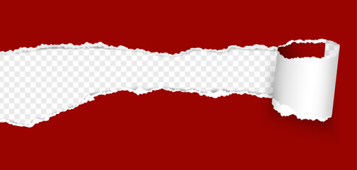 Torn paper hole. Ripped paper sheet curl with torn edge. Hole in teared page with rolled strip. Destroyed document sheet. Vector 3D banner template with space for text.