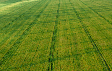 Green farm field, aerial view agricultural landscape