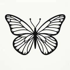 Elegant black and white butterfly drawing with detailed symmetrical wings, displayed on a clean white background, emphasizing minimalist and natural beauty