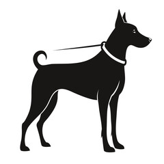 Dog Standing alert with leash black silhouette on transparent background
