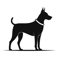 Silhouette of dog standing alert with leash on transparent background